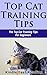 Top Cat Training Tips