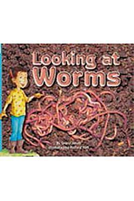 Looking at Worms (Rigby Flying Colors, Red)