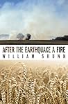 After the Earthquake a Fire