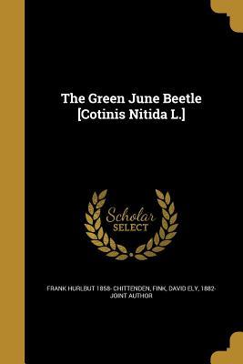 The Green June Beetle [Cotinis Nitida L.]