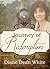 Journey of Redemption (Spinster Orphan Train novella Book 10)