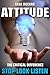Attitude - The Critical Dif...