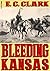 BLEEDING KANSAS (A Hades Adult Western Book 3)