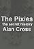 The Pixies: the secret history
