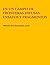 En un campo de fronteras difusas: ensayos y fragmentos (Spanish Edition)