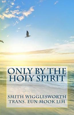 Only by the Holy Spirit: Doing the Impossible in the Holy Spirit