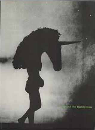 Echo and the Bunnymen: [collection 1980-1987] (Hardcover)