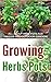 Growing Herbs Pots: All Abo...