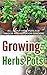 Growing Herbs Pots: All About Herb Pots For Indoor And Outdoor Gardens