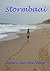 Stormbaai (Afrikaans Edition)