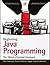 Beginning Java Programming: The Object-Oriented Approach