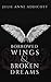 Borrowed Wings & Broken Dreams