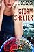 Storm Shelter by J.L. Delozier