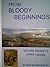 From Bloody Beginnings by David Beasley