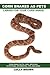 Corn Snakes as Pets: Corn Snake facts, care, breeding, nutritional information, tips, and more! Caring For Your Corn Snake