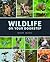 Wildlife on Your Doorstep
