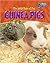 Guinea Pigs (Raintree Perspectives: The Wild Side of Pets)