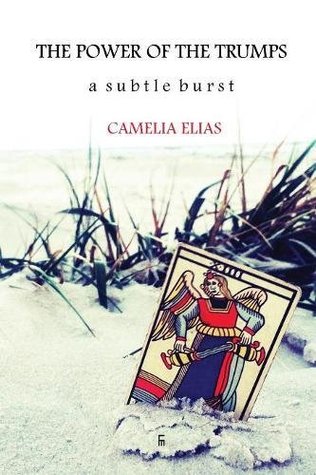 THE POWER OF THE TRUMPS: A SUBTLE BURST (Paperback)
