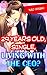 29 years old, Single, Living with the CEO? Vol.13 (TL Manga)