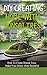 DIY Creating Home With Bonsai Tress: How To Create Bonsai Tress Make Your Home More Beautiful