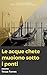 Le acque chete muoiono sotto i ponti (Italian Edition)