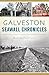 Galveston Seawall Chronicles (Landmarks)