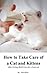 How to Take Care Of A Cat And Kittens After Giving Birth by Anna Rose