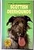 Scottish Deerhounds (Kw Dog Breed Series)