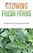 Growing Fresh Herbs by Elsa Reese