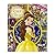 Disney Princess Beauty and the Beast Look and Find® Book