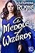 A Meddle of Wizards (Fledgling Magic #1)