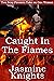 Caught in the Flames: A Tal...