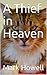 A Thief in Heaven