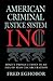 AMERICAN CRIMINAL JUSTICE S...