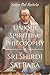 Unique Spiritual Philosophy of Sri Shirdi Sai Baba by Pal Ruhela Satya