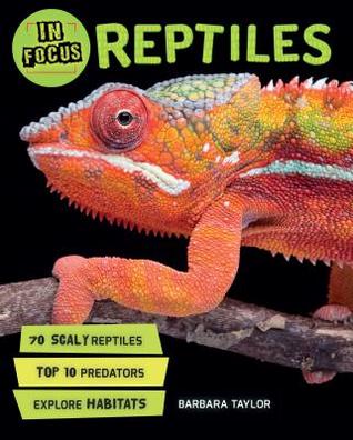 In Focus: Reptiles (Hardcover)