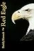 Red Eagle (Eagle Bear Series Book 4)