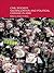 NGOs, Globalization and Pol...
