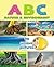 The Alphabet Book ABC's of Nature.: Admirable and Educational Alphabet Book with 90 unique pictures for 2-6 Year Old Kids.