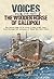 The Wooden Horse of Gallipoli: The Heroic Saga of SS River Clyde, a WW1 Icon, Told Through the Accounts of Those Who Were There (Voices from the Past)