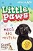 Meg's Big Mystery (Little Paws)