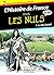 Histoire de France en BD pour les nuls : 7 - Le Roi-Soleil