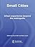 Small Cities: Urban Experience Beyond the Metropolis