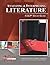 CLEP Analyzing and Interpreting Literature Study Guide (Perfect Bound)