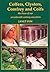Coffers, Clysters, Comfrey and Coifs the lives of our seventeenth century ancestors by Janet Few