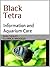 Black Widow Tetra (Tetras B...