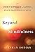 Beyond Mindfulness: The Direct Approach to Lasting Peace, Happiness, and Love