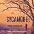 Sycamore