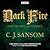 Dark Fire (Matthew Shardlake, #2)