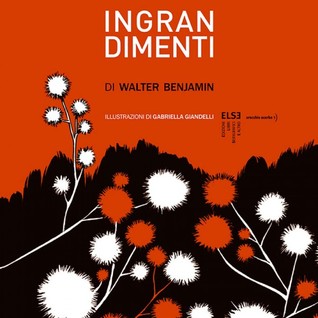 Ingrandimenti (Paperback)